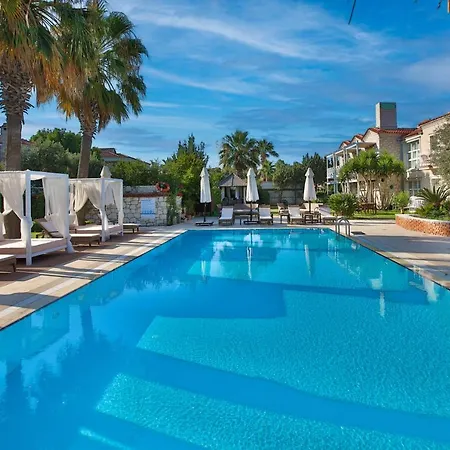 Casa Oliva - Adults Only 14 Hotel Alaçatı