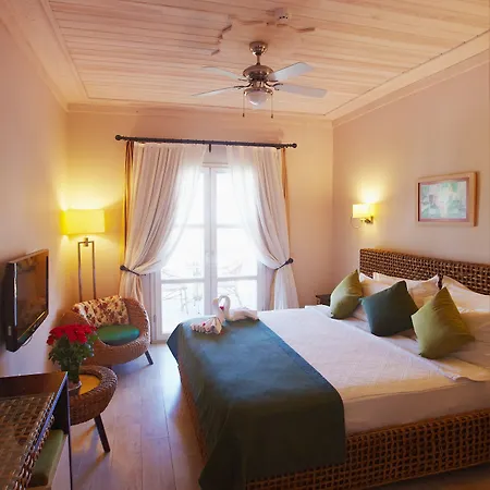 Hotel Casa Oliva - Adults Only 14 2*