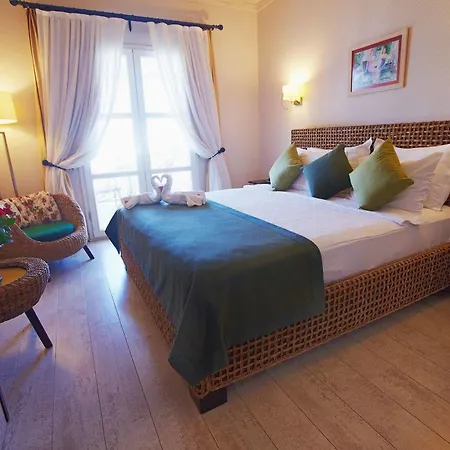 Casa Oliva - Adults Only 14
