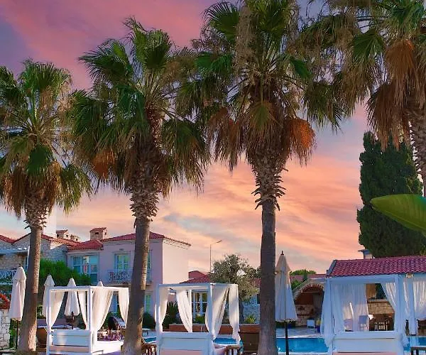 Casa Oliva - Adults Only 14 2*