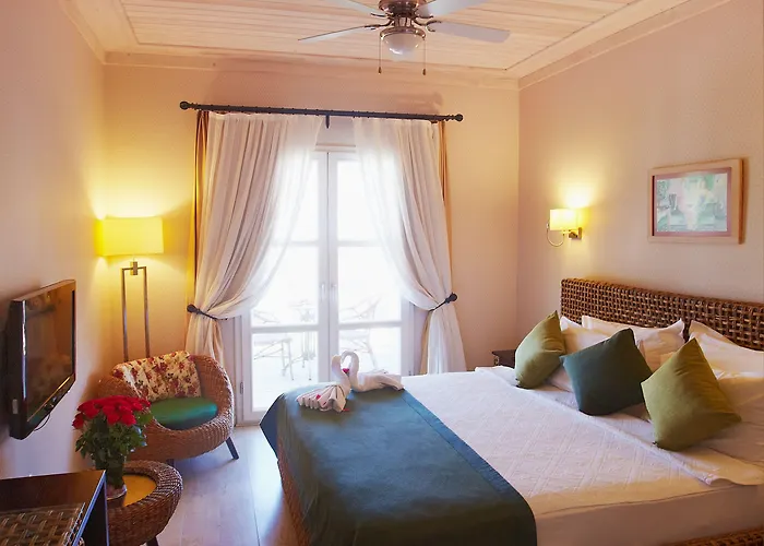 호텔 Casa Oliva - Adults Only 14 2*